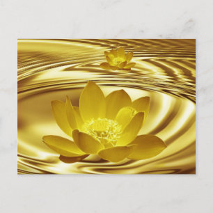 Golden lotus flower postcard