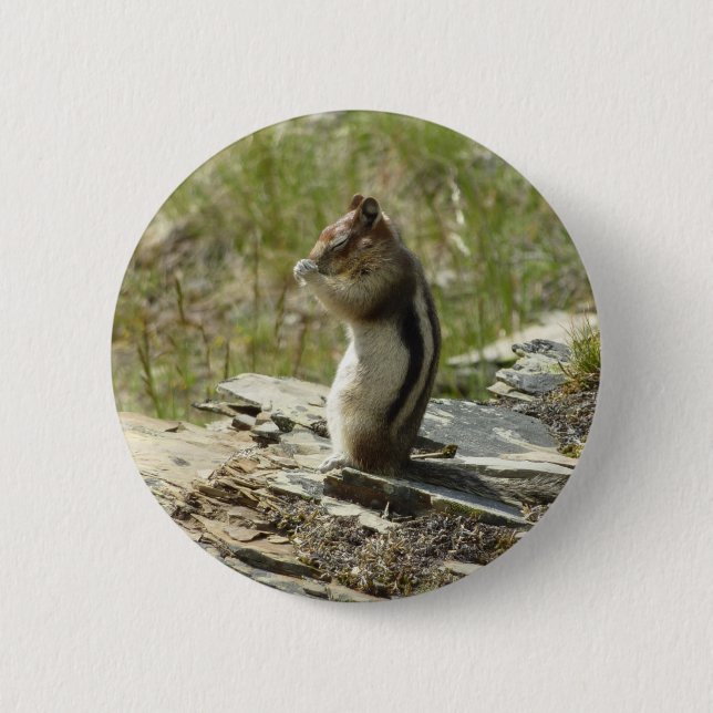 Golden-Mantled Ground Squirrel at Glacier I 6 Cm Round Badge (Front)