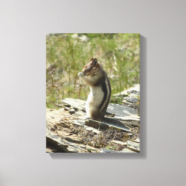Golden-Mantled Ground Squirrel at Glacier I Canvas Print (Front)