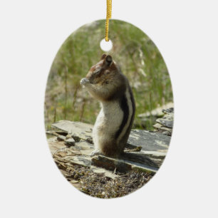 Golden-Mantled Ground Squirrel at Glacier I Ceramic Tree Decoration