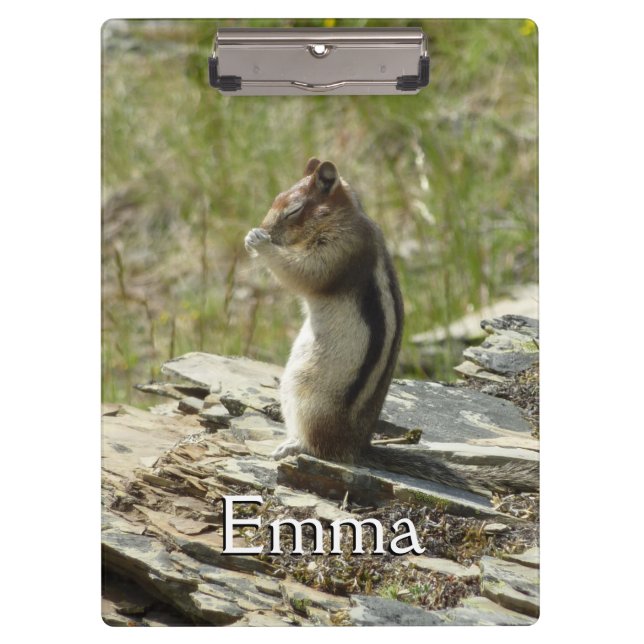 Golden-Mantled Ground Squirrel at Glacier I Clipboard (Front)