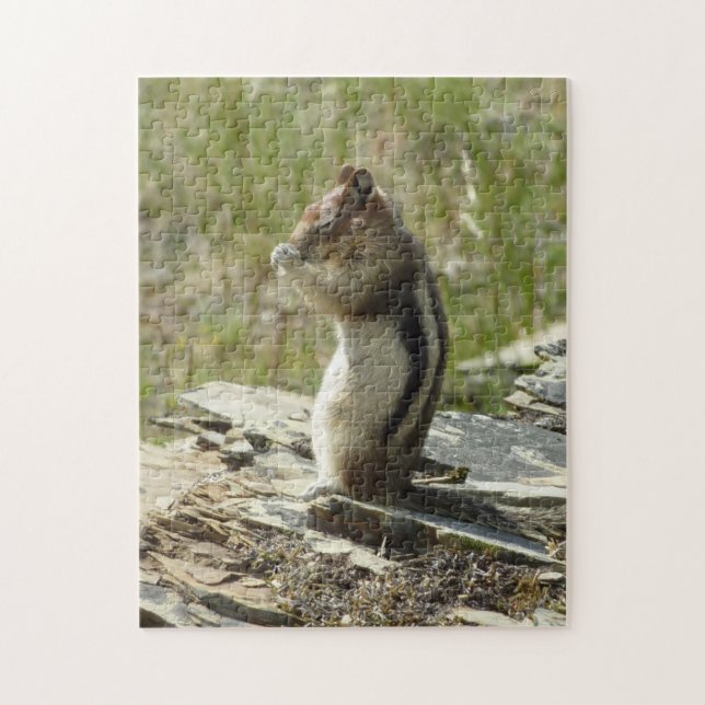 Golden-Mantled Ground Squirrel at Glacier I Jigsaw Puzzle (Vertical)