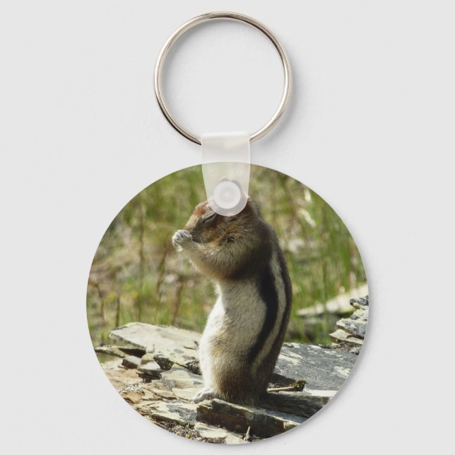 Golden-Mantled Ground Squirrel at Glacier I Key Ring (Front)