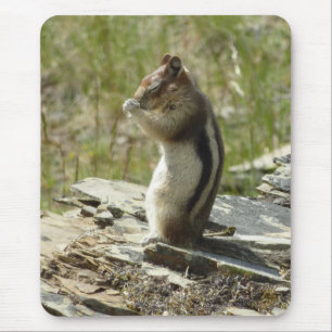 Golden-Mantled Ground Squirrel at Glacier I Mouse Mat