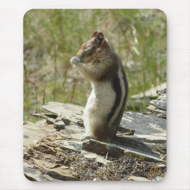 Golden-Mantled Ground Squirrel at Glacier I Mouse Mat (Front)
