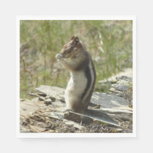 Golden-Mantled Ground Squirrel at Glacier I Napkin