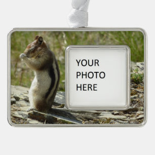 Golden-Mantled Ground Squirrel at Glacier I Silver Plated Framed Ornament