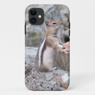 Golden-Mantled Ground Squirrel at Glacier II iPhone 11 Case