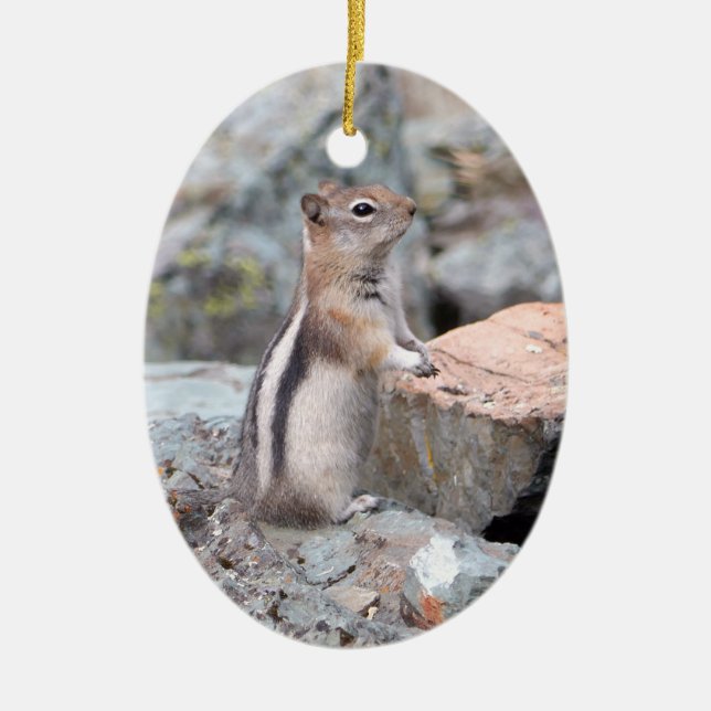 Golden-Mantled Ground Squirrel at Glacier II Ceramic Tree Decoration (Front)
