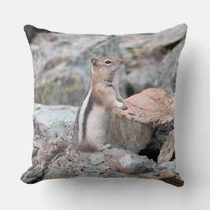Golden-Mantled Ground Squirrel at Glacier II Cushion