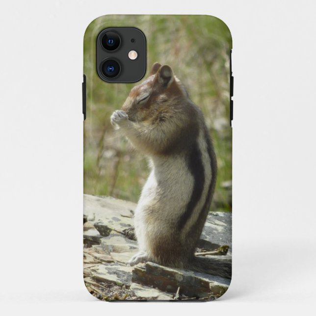 Golden-Mantled Ground Squirrel at Glacier Park Case-Mate iPhone Case (Back)