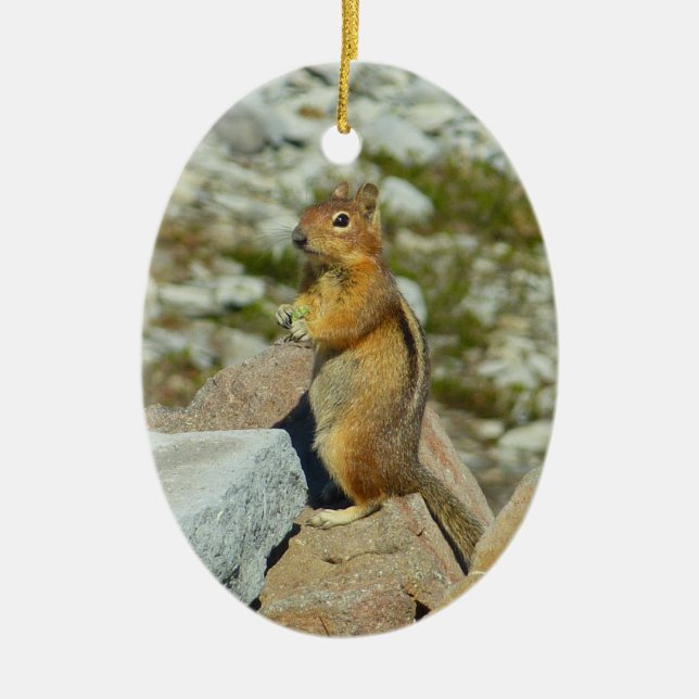 Golden-Mantled Ground Squirrel at Mount Rainier Ceramic Tree Decoration (Front)