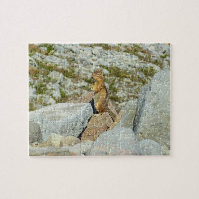 Golden-Mantled Ground Squirrel at Mount Rainier Jigsaw Puzzle (Horizontal)