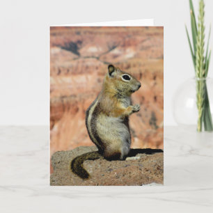 Golden Mantled Ground Squirrel Card