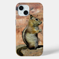 Golden Mantled Ground Squirrel