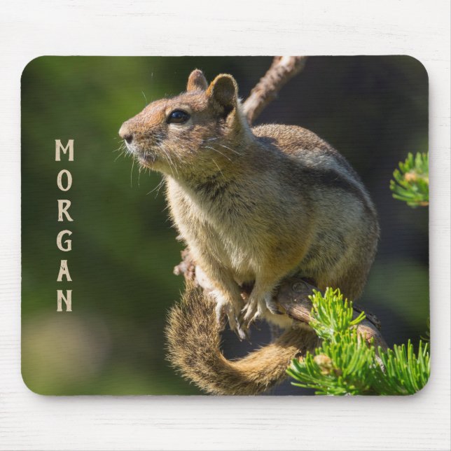 Golden Mantled Ground Squirrel Mouse Mat (Front)