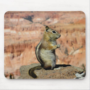 Golden Mantled Ground Squirrel Mouse Mat