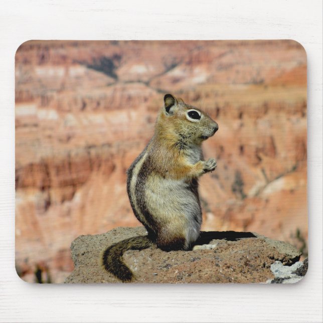 Golden Mantled Ground Squirrel Mouse Mat (Front)