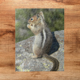 Golden Mantled Ground Squirrel Nature Jigsaw Puzzle