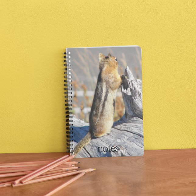 Golden Mantled Ground Squirrel Nature Photo Notebook (In Situ)
