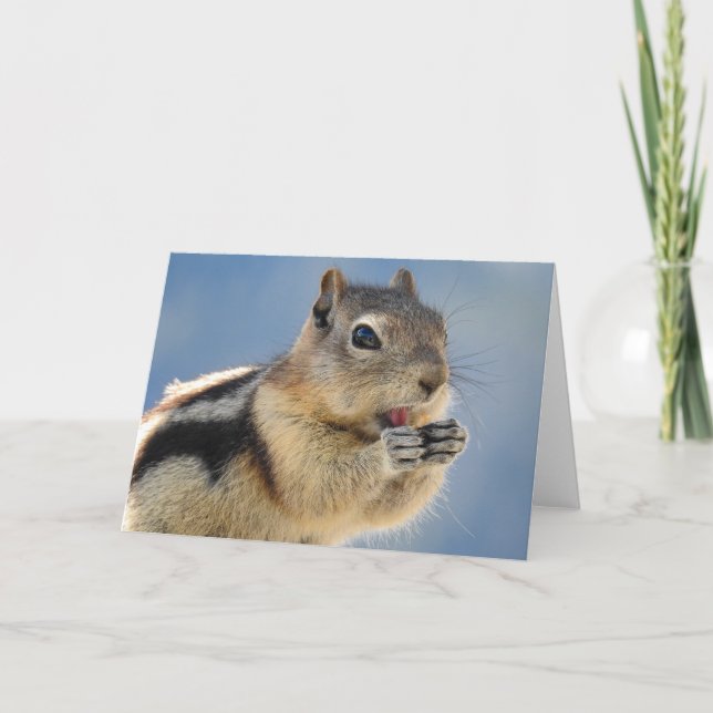 Golden Mantled Ground Squirrel Notecard (Front)