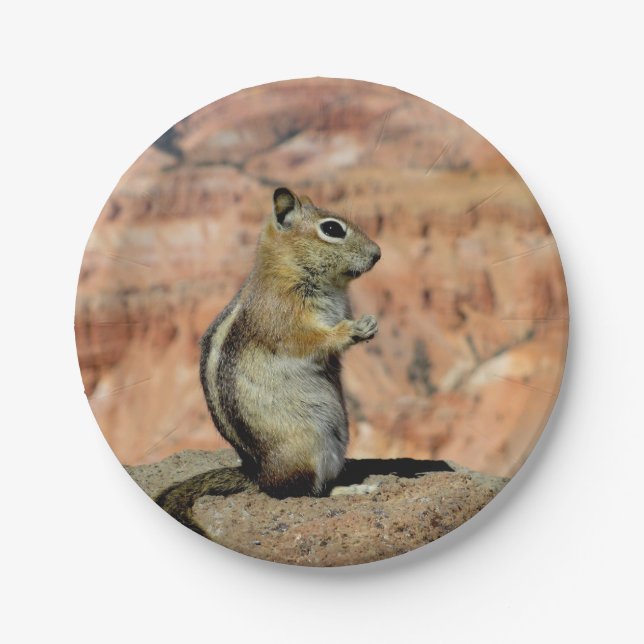 Golden Mantled Ground Squirrel Paper Plate (Front)