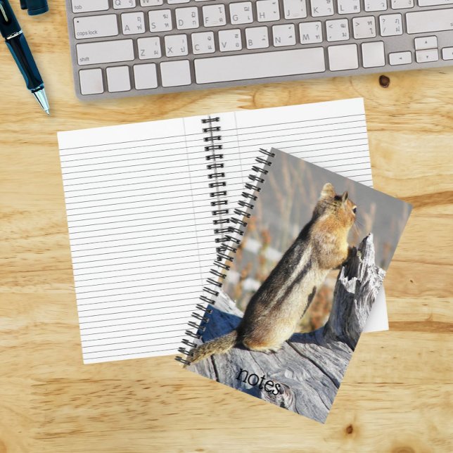 Golden Mantled Ground Squirrel Photo Notebook (In Situ)