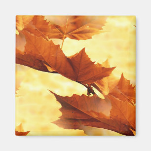 Golden Maple Leaves Painterly Photography Magnet