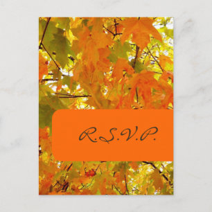 Golden Maple, RSVP postcards, for 5x7 invites