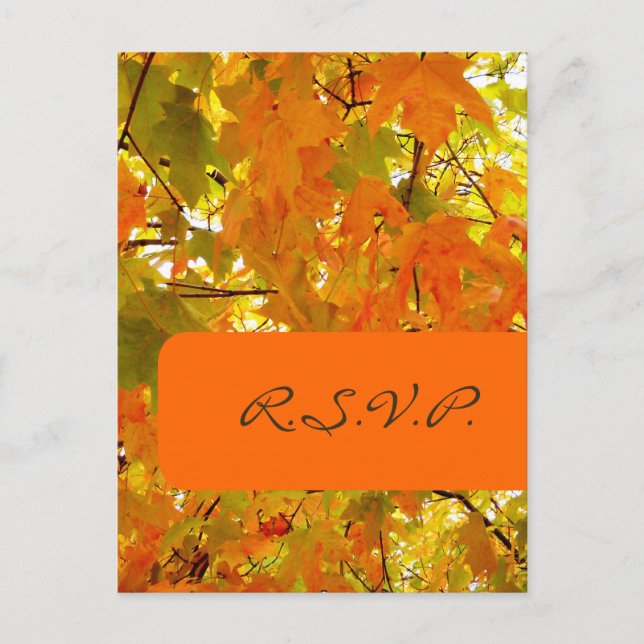 Golden Maple, RSVP postcards, for 5x7 invites (Front)