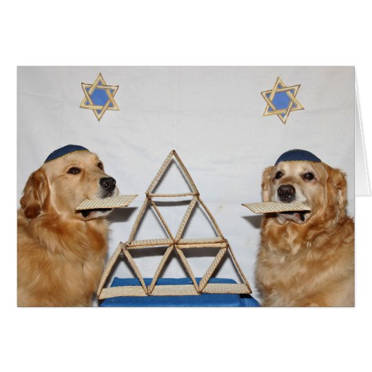Golden Matzo Fun Passover Card
