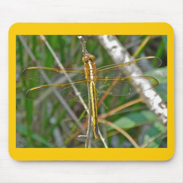 Golden Meadowhawk (Sympetrum) Dragonfly Items Mouse Mat (Front)