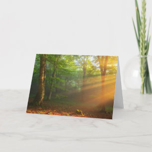 Golden Moment of Light Card