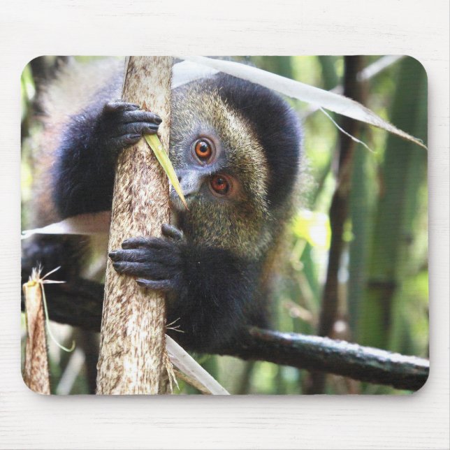 Golden Monkey in African Jungle Mouse Mat (Front)