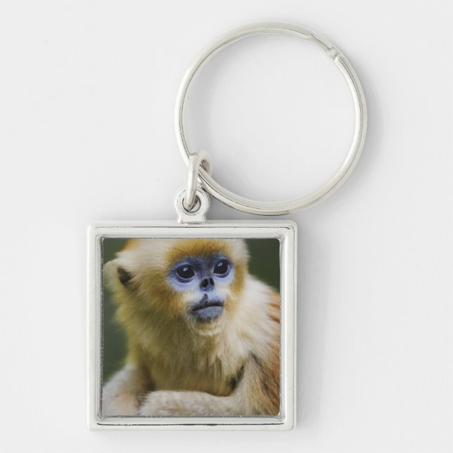 Golden monkey key ring (Front)