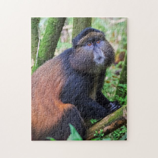Golden Monkey, Rwanda Jigsaw Puzzle (Vertical)