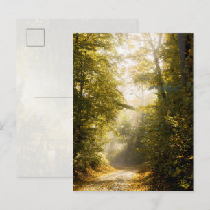 Golden Morning park, Original Fine Art Photograph Postcard