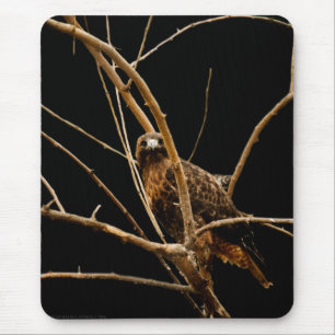 Golden Mousepad