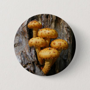 Golden Mushroom ~ button