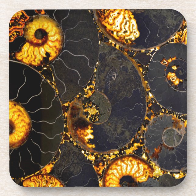 Golden Nautilus Coaster (Front)