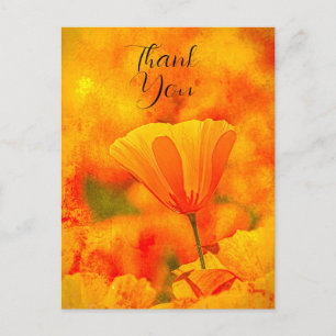 Golden Orange California Poppy "Land Of Orange" Postcard