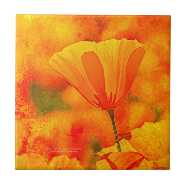 Golden Orange California Poppy "Land Of Orange" Tile (Front)