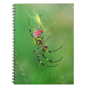 Golden Orb Weaver Spider Notebook