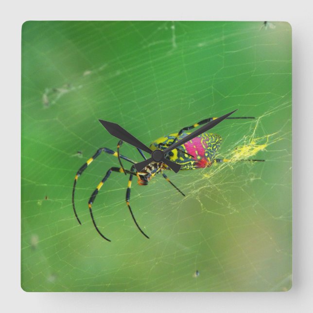Golden Orb Weaver Spider Wall Clock (Front)