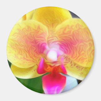 Golden Orchid by Power Flower Magnet