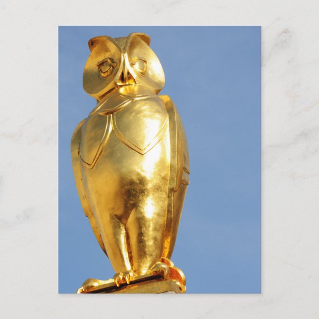 Golden owl postcard (Front)