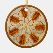 Golden Paraceraurus fossil trilobite wheel