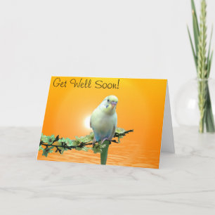 Golden Parakeet Get Well Soon Card