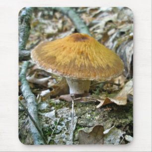 Golden Parasol Mushroom Mousepad