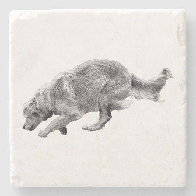 Golden Pause at the Table Stone Coaster (Front)